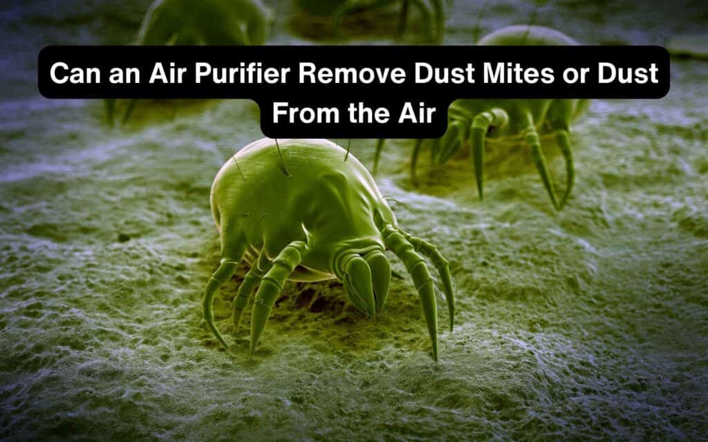 Can an Air Purifier Remove Dust Mites or Dust From the Air