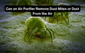 Can an Air Purifier Remove Dust Mites or Dust From the Air