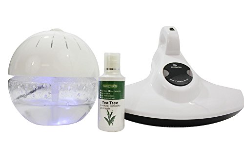 Can I Use Essential Oils in My Air Purifier