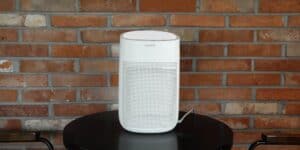 Best Air Purifiers And Dehumidifiers Combos