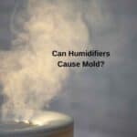 Can Humidifiers Cause Mold