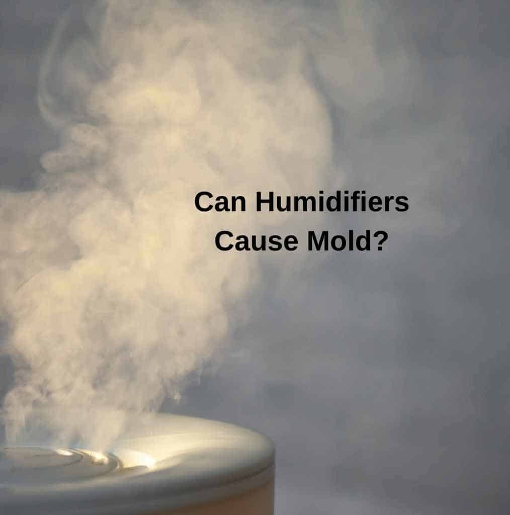 Can Humidifiers Cause Mold? 2024 Full Guide