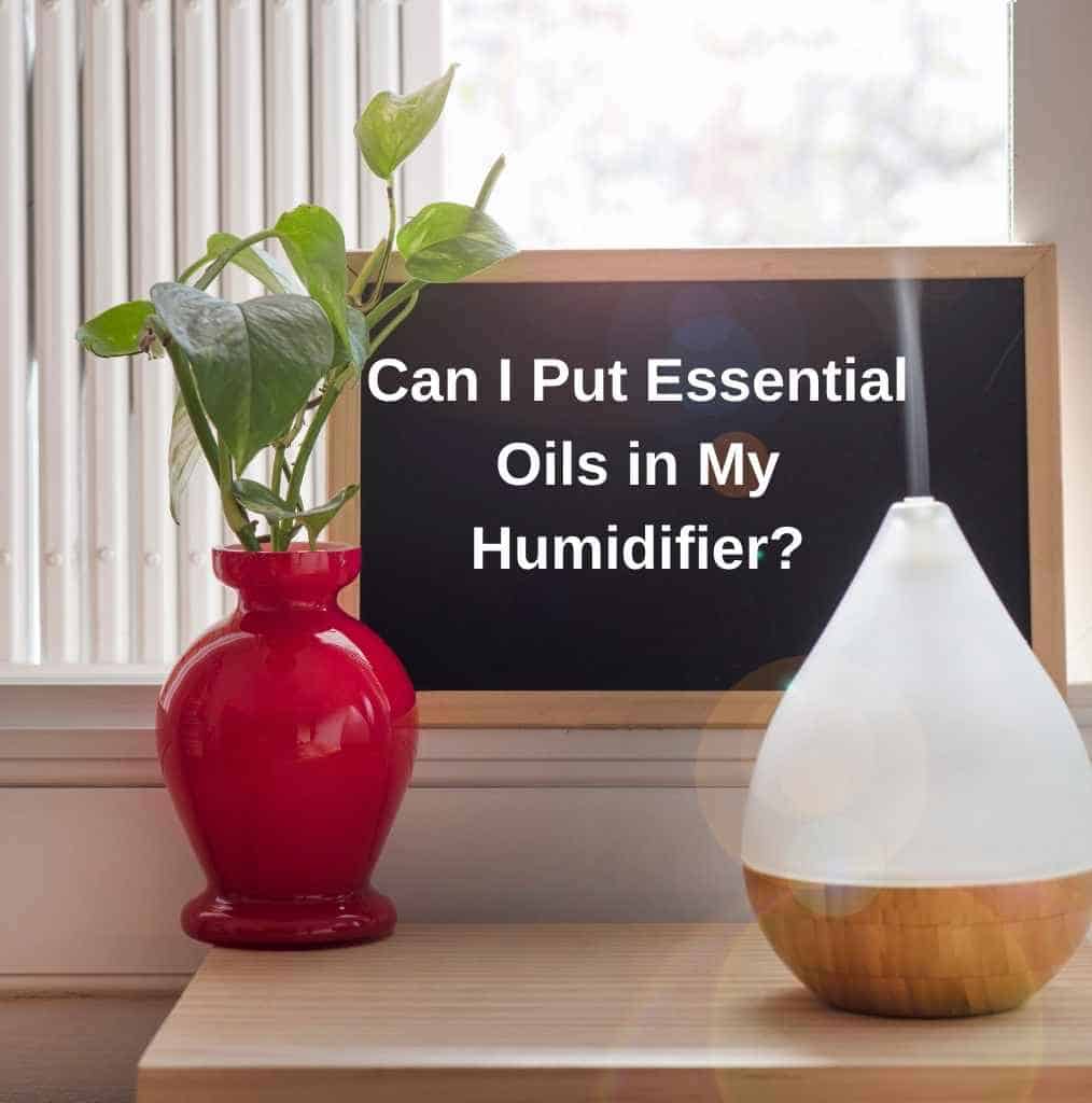 Can I Put Essential Oils in My Humidifier