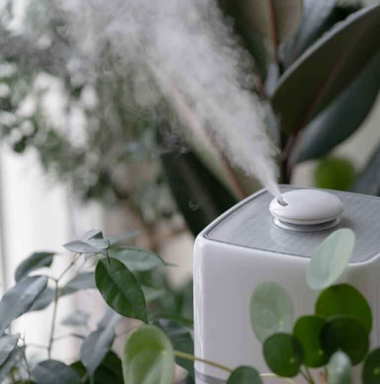 Does A Humidifier Cool A Room? 2024 Full Guide