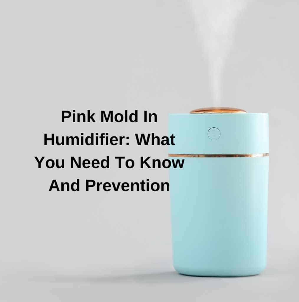 Pink Mold In Humidifier: How To Prevent it From Appearing?