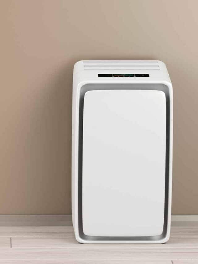 5 Reasons You Need an Air Purifier?