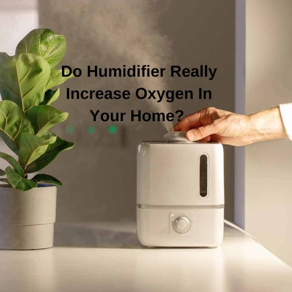 Does Humidifier Increase Oxygen? 2024 Full Guide