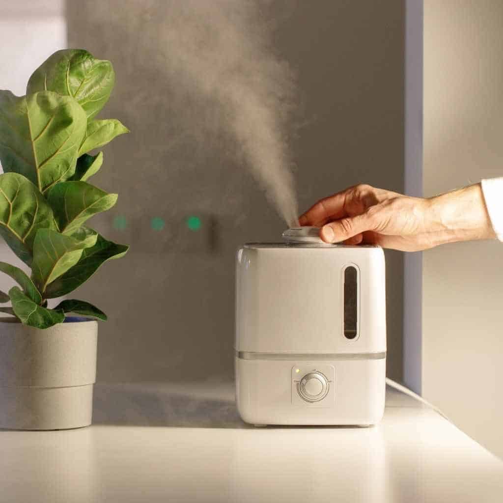 Does Humidifier Increase Oxygen