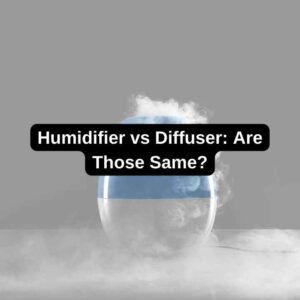 Humidifier vs Diffuser Are Those Same