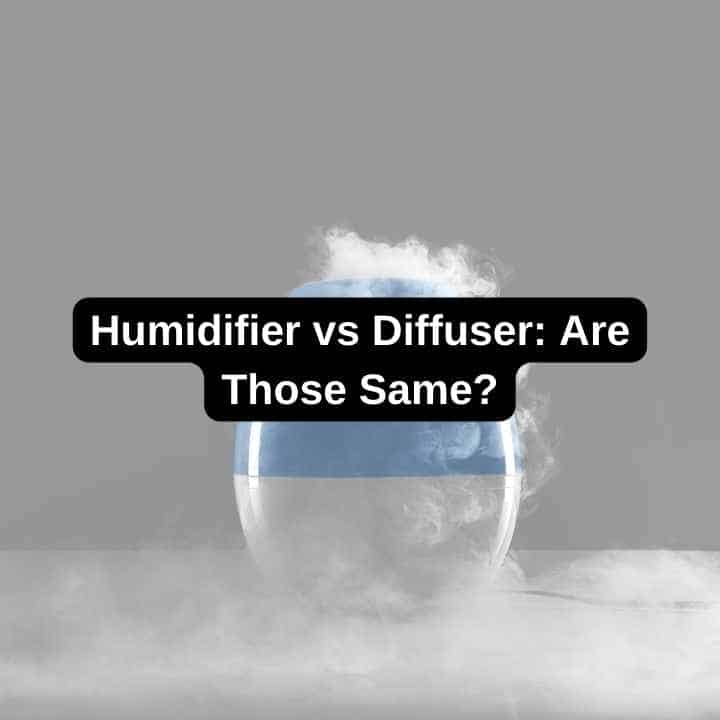 Humidifier vs Diffuser Are Those Same