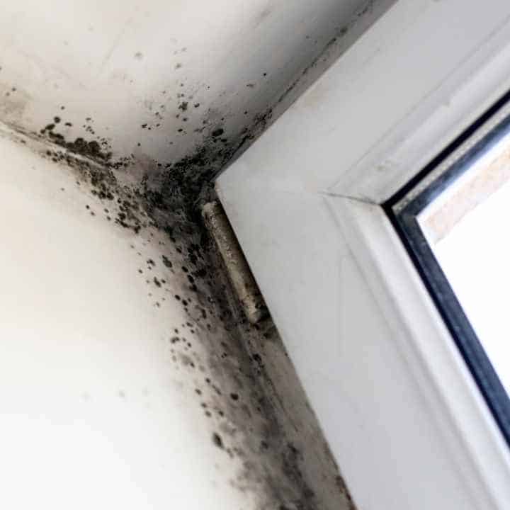 Mold in Air Conditioners How to Clean