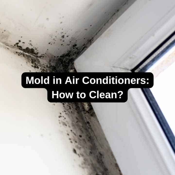 Mold in Air Conditioners