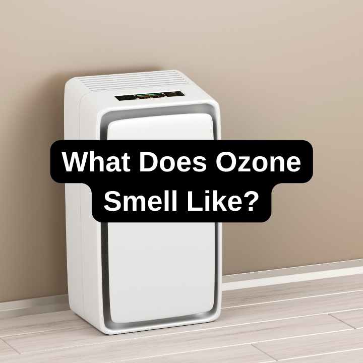 What Does Ozone Smell Like