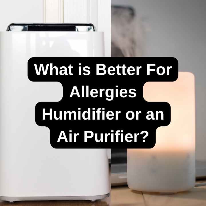 What is Better For Allergies Humidifier or an Air Purifier