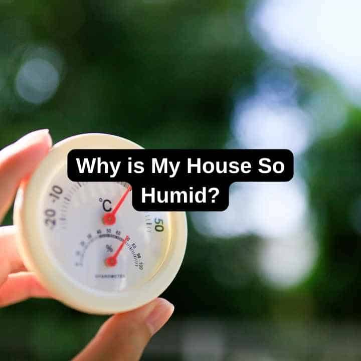 Why Is My House So Humid Everything You Need To Know