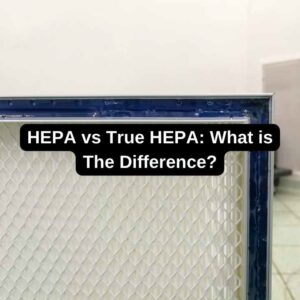 HEPA vs True HEPA