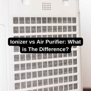 Ionizer vs Air Purifier