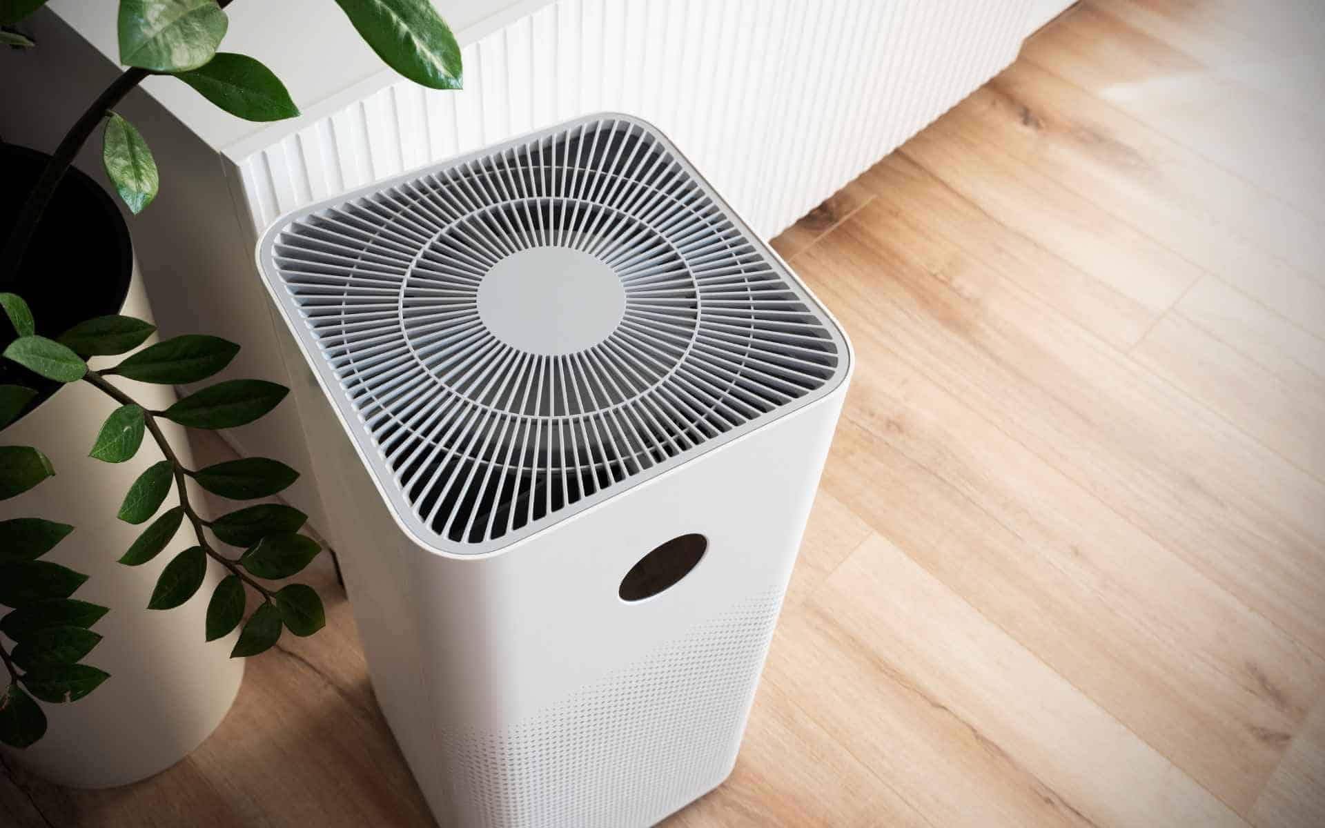 Do Air Purifiers Use Lots of Electricity? Full Guide 2024