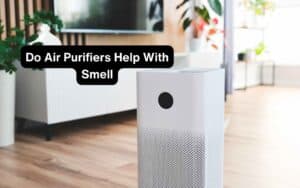 Do Air Purifiers Help With Smell