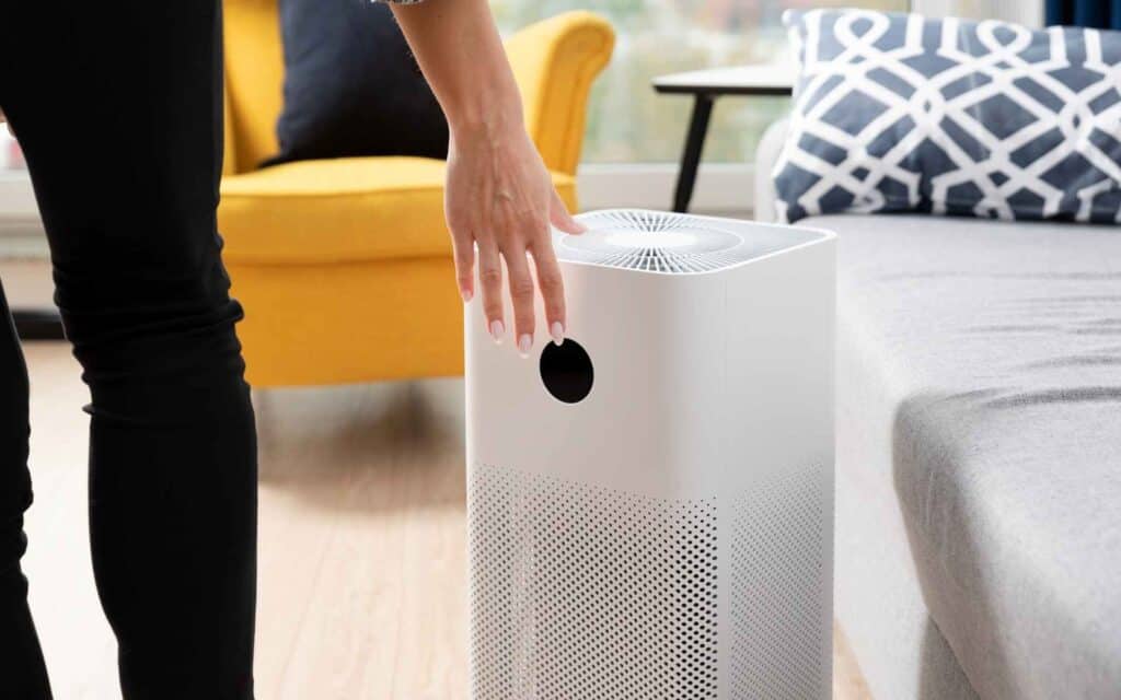 Do Air Purifiers Help With Smell