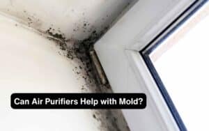 Can Air Purifiers Help with Mold