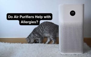 Do Air Purifiers Help with Allergies