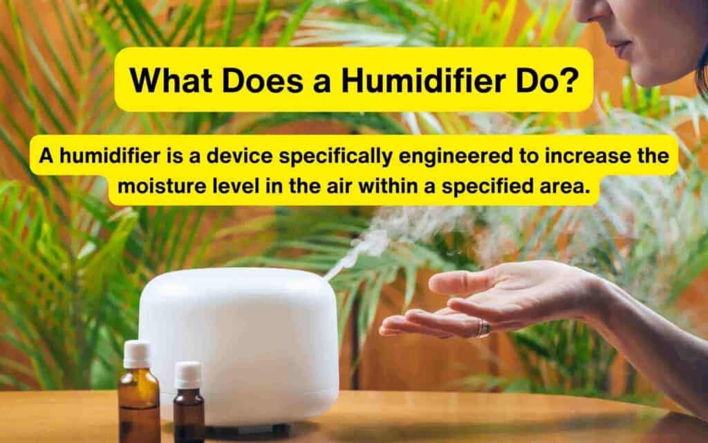 What Does a Humidifier Do?