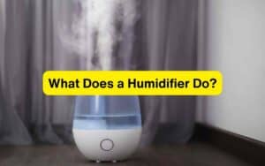 What Does a Humidifier Do?